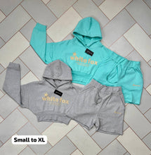 Load image into Gallery viewer, Hoodie