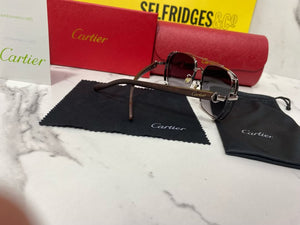 Sunglass