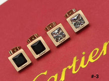 Load image into Gallery viewer, Earring