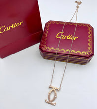 Load image into Gallery viewer, Necklace
