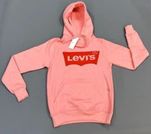 Load image into Gallery viewer, Hoodie