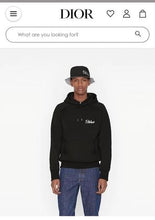 Load image into Gallery viewer, Hoodie