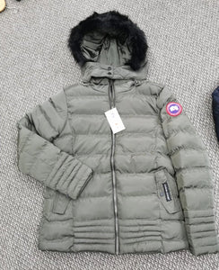 Ladies Jacket imported