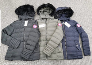 Ladies Jacket imported
